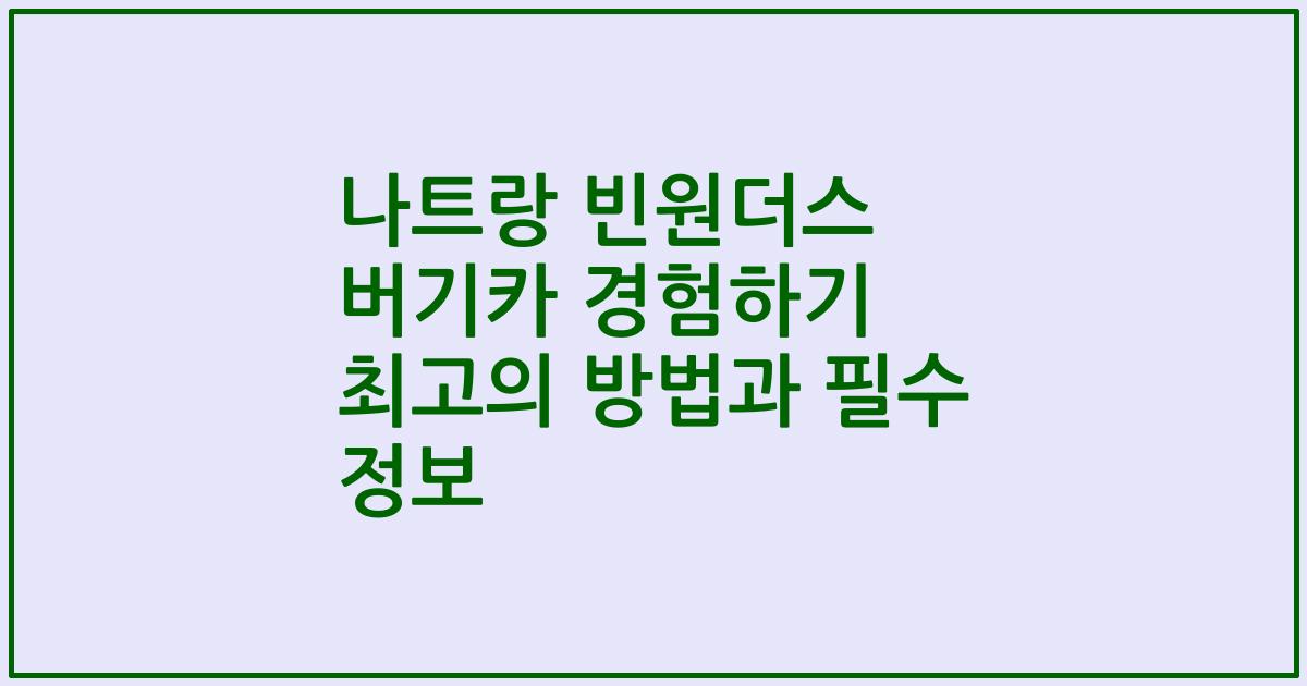 나트랑 빈원더스 버기카 경험하기 최고의 방법과 필수 정보